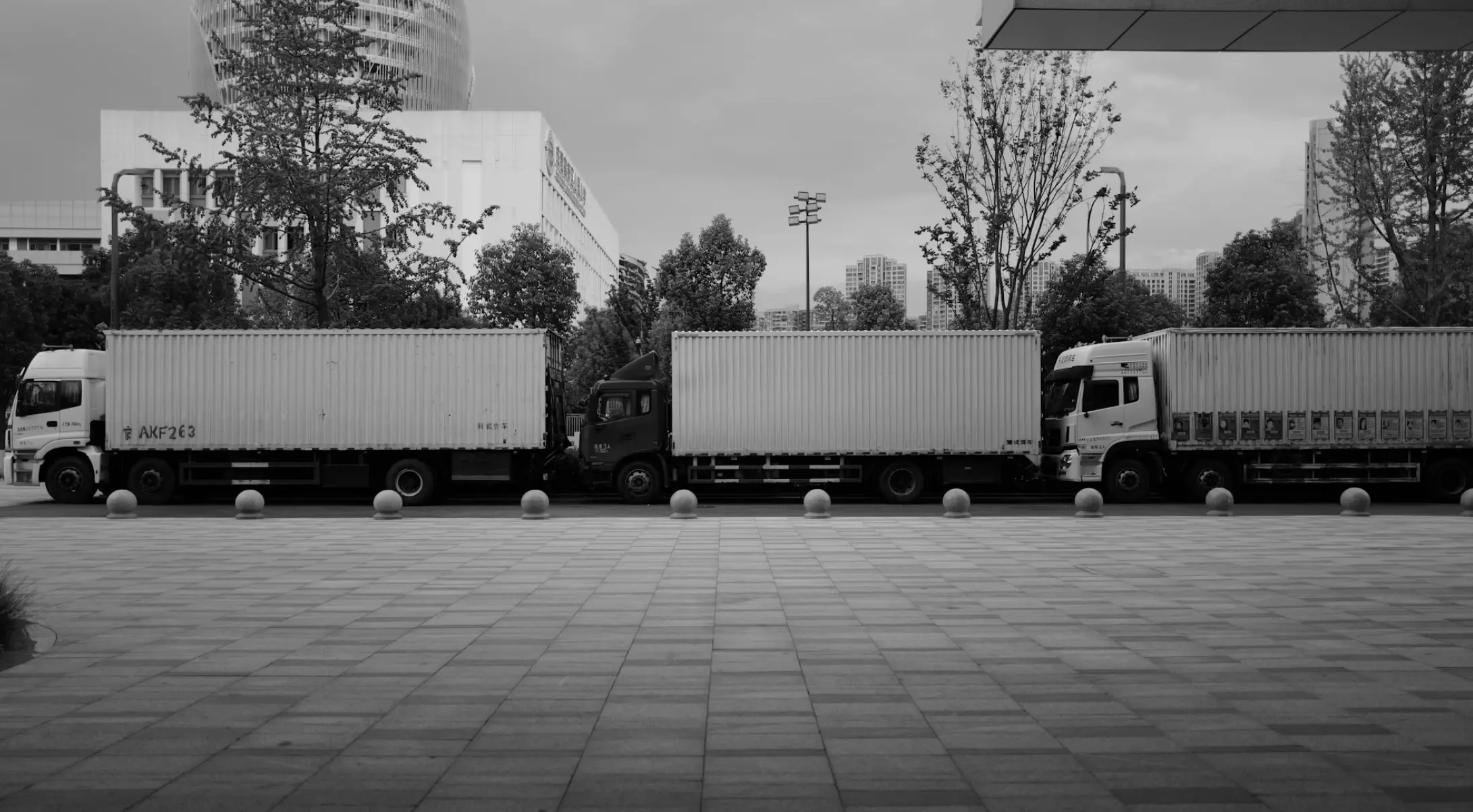 Carrier Management Solutions: Optimize Logistics with AI & TMS
